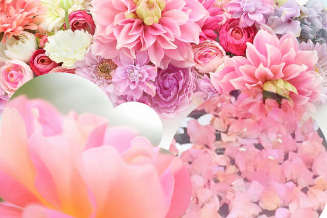 ピンク色のお花を選ぶとき〜今日のハーブ🌿